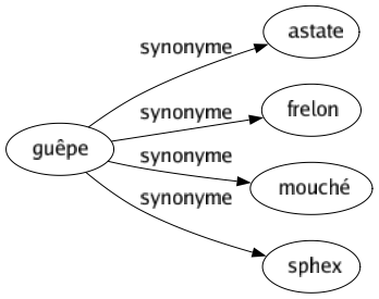 Synonyme de Guêpe : Astate Frelon Mouché Sphex 