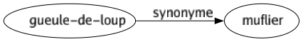 Synonyme de Gueule-de-loup : Muflier 