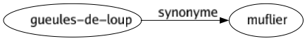 Synonyme de Gueules-de-loup : Muflier 