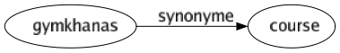 Synonyme de Gymkhanas : Course 