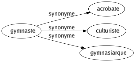 Synonyme de Gymnaste : Acrobate Culturiste Gymnasiarque 