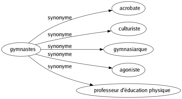 Synonyme de Gymnastes : Acrobate Culturiste Gymnasiarque Agoniste Professeur d'éducation physique 