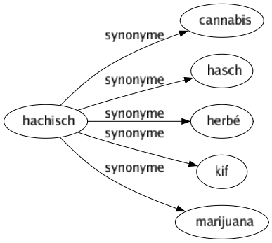 Synonyme de Hachisch : Cannabis Hasch Herbé Kif Marijuana 