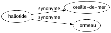 Synonyme de Haliotide : Oreille-de-mer Ormeau 