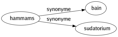 Synonyme de Hammams : Bain Sudatorium 