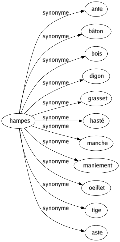 Synonyme de Hampes : Ante Bâton Bois Digon Grasset Hasté Manche Maniement Oeillet Tige Aste 