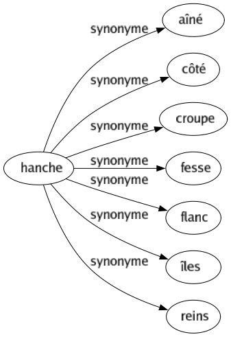 Synonyme de Hanche : Aîné Côté Croupe Fesse Flanc Îles Reins 