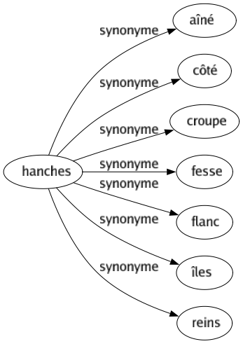 Synonyme de Hanches : Aîné Côté Croupe Fesse Flanc Îles Reins 