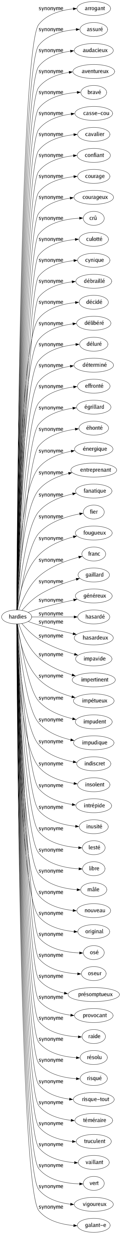 Synonyme de Hardies : Arrogant Assuré Audacieux Aventureux Bravé Casse-cou Cavalier Confiant Courage Courageux Crû Culotté Cynique Débraillé Décidé Délibéré Déluré Déterminé Effronté Égrillard Éhonté Énergique Entreprenant Fanatique Fier Fougueux Franc Gaillard Généreux Hasardé Hasardeux Impavide Impertinent Impétueux Impudent Impudique Indiscret Insolent Intrépide Inusité Lesté Libre Mâle Nouveau Original Osé Oseur Présomptueux Provocant Raide Résolu Risqué Risque-tout Téméraire Truculent Vaillant Vert Vigoureux Galant-e 