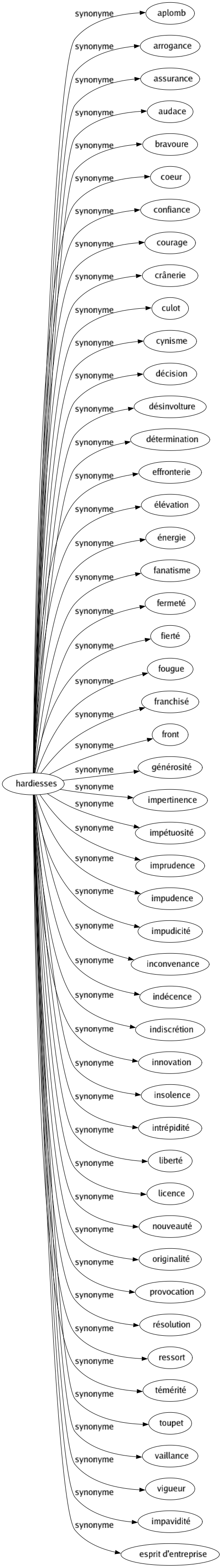 Synonyme de Hardiesses : Aplomb Arrogance Assurance Audace Bravoure Coeur Confiance Courage Crânerie Culot Cynisme Décision Désinvolture Détermination Effronterie Élévation Énergie Fanatisme Fermeté Fierté Fougue Franchisé Front Générosité Impertinence Impétuosité Imprudence Impudence Impudicité Inconvenance Indécence Indiscrétion Innovation Insolence Intrépidité Liberté Licence Nouveauté Originalité Provocation Résolution Ressort Témérité Toupet Vaillance Vigueur Impavidité Esprit d'entreprise 