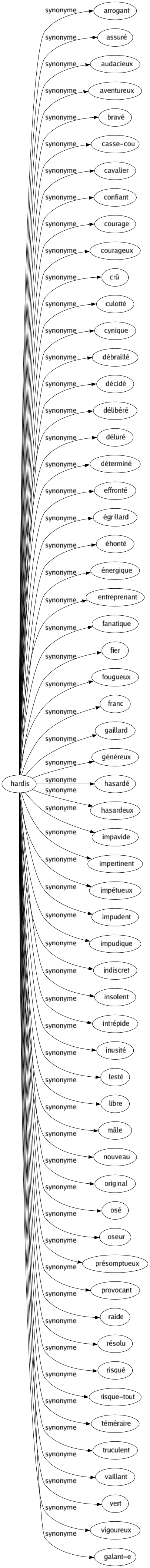 Synonyme de Hardis : Arrogant Assuré Audacieux Aventureux Bravé Casse-cou Cavalier Confiant Courage Courageux Crû Culotté Cynique Débraillé Décidé Délibéré Déluré Déterminé Effronté Égrillard Éhonté Énergique Entreprenant Fanatique Fier Fougueux Franc Gaillard Généreux Hasardé Hasardeux Impavide Impertinent Impétueux Impudent Impudique Indiscret Insolent Intrépide Inusité Lesté Libre Mâle Nouveau Original Osé Oseur Présomptueux Provocant Raide Résolu Risqué Risque-tout Téméraire Truculent Vaillant Vert Vigoureux Galant-e 