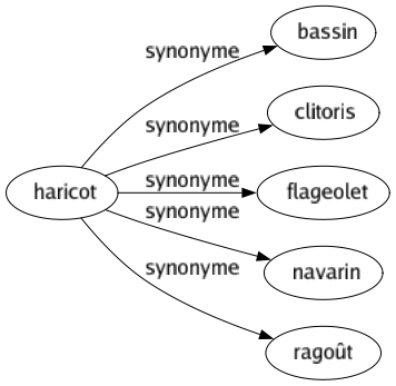 Synonyme de Haricot : Bassin Clitoris Flageolet Navarin Ragoût 