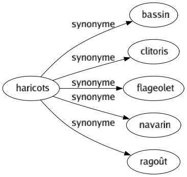 Synonyme de Haricots : Bassin Clitoris Flageolet Navarin Ragoût 