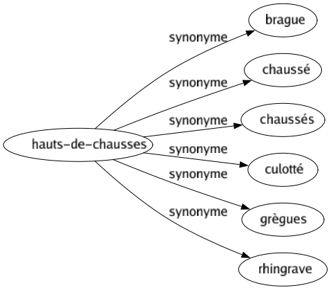 Synonyme de Hauts-de-chausses : Brague Chaussé Chaussés Culotté Grègues Rhingrave 