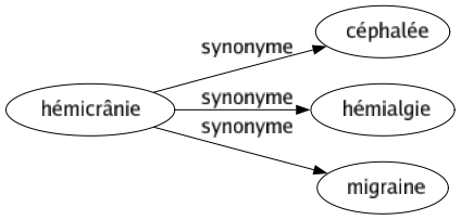 Synonyme de Hémicrânie : Céphalée Hémialgie Migraine 