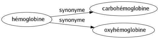 Synonyme de Hémoglobine : Carbohémoglobine Oxyhémoglobine 