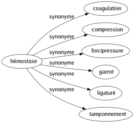 Synonyme de Hémostase : Coagulation Compression Forcipressure Garrot Ligaturé Tamponnement 