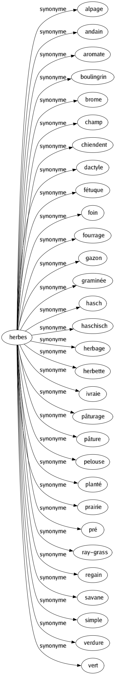 Synonyme de Herbes : Alpage Andain Aromate Boulingrin Brome Champ Chiendent Dactyle Fétuque Foin Fourrage Gazon Graminée Hasch Haschisch Herbage Herbette Ivraie Pâturage Pâture Pelouse Planté Prairie Pré Ray-grass Regain Savane Simple Verdure Vert 