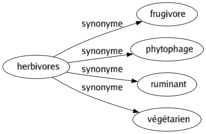 Synonyme de Herbivores : Frugivore Phytophage Ruminant Végétarien 