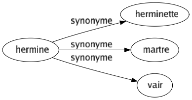 Synonyme de Hermine : Herminette Martre Vair 