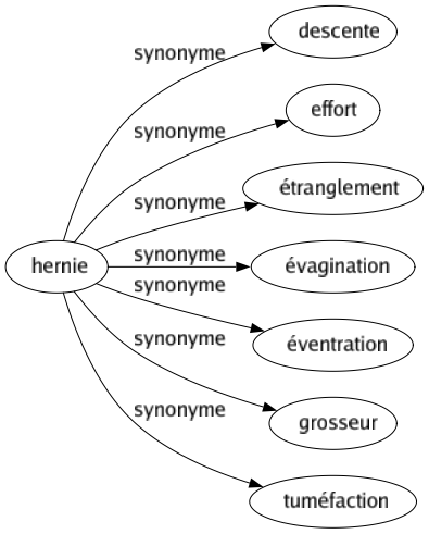 Synonyme de Hernie : Descente Effort Étranglement Évagination Éventration Grosseur Tuméfaction 