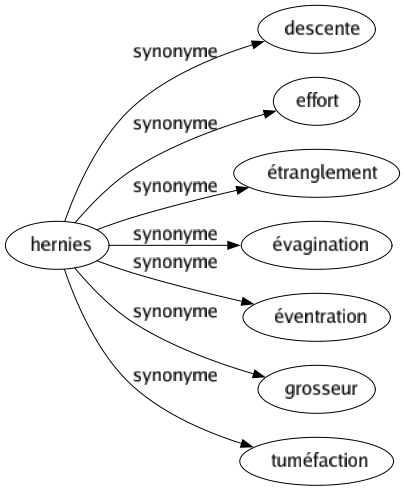 Synonyme de Hernies : Descente Effort Étranglement Évagination Éventration Grosseur Tuméfaction 