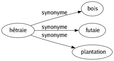 Synonyme de Hêtraie : Bois Futaie Plantation 