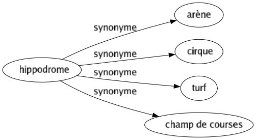 Synonyme de Hippodrome : Arène Cirque Turf Champ de courses 