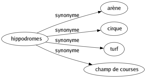 Synonyme de Hippodromes : Arène Cirque Turf Champ de courses 