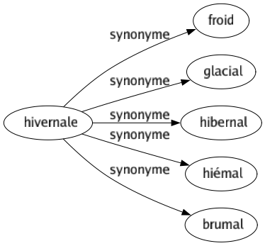 Synonyme de Hivernale : Froid Glacial Hibernal Hiémal Brumal 
