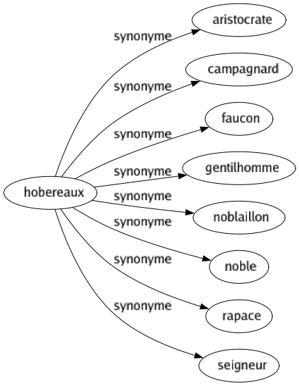 Synonyme de Hobereaux : Aristocrate Campagnard Faucon Gentilhomme Noblaillon Noble Rapace Seigneur 