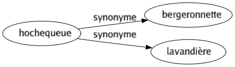 Synonyme de Hochequeue : Bergeronnette Lavandière 