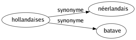 Synonyme de Hollandaises : Néerlandais Batave 