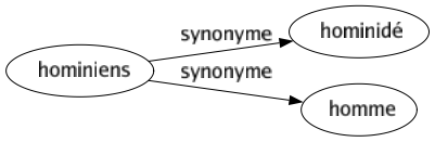 Synonyme de Hominiens : Hominidé Homme 