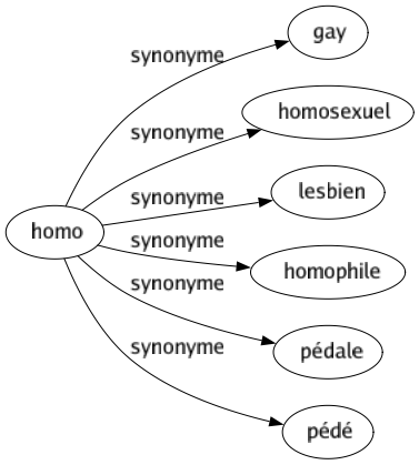 Synonyme de Homo : Gay Homosexuel Lesbien Homophile Pédale Pédé 