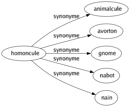 Synonyme de Homoncule : Animalcule Avorton Gnome Nabot Nain 