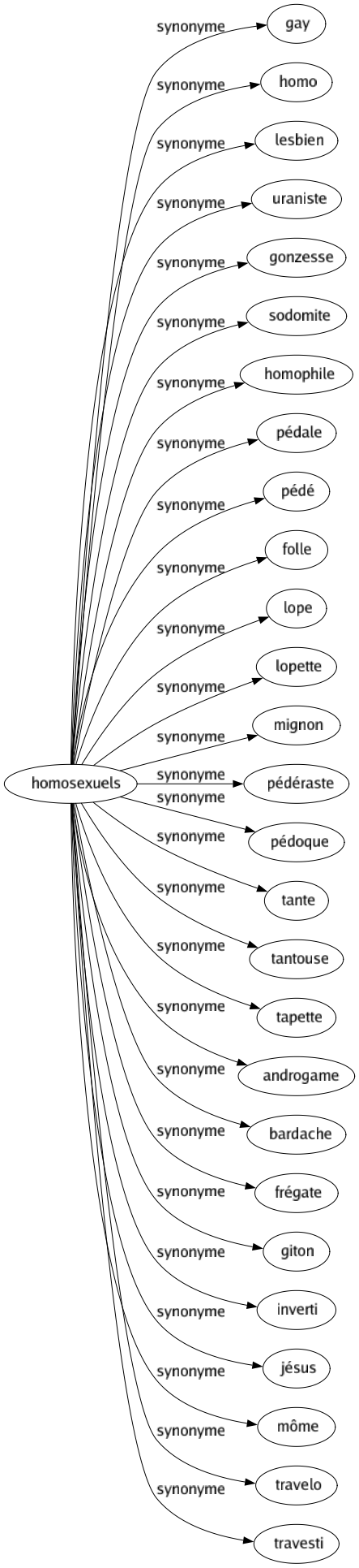 Synonyme de Homosexuels : Gay Homo Lesbien Uraniste Gonzesse Sodomite Homophile Pédale Pédé Folle Lope Lopette Mignon Pédéraste Pédoque Tante Tantouse Tapette Androgame Bardache Frégate Giton Inverti Jésus Môme Travelo Travesti 