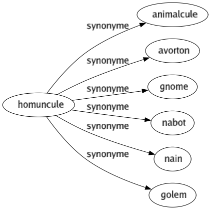 Synonyme de Homuncule : Animalcule Avorton Gnome Nabot Nain Golem 