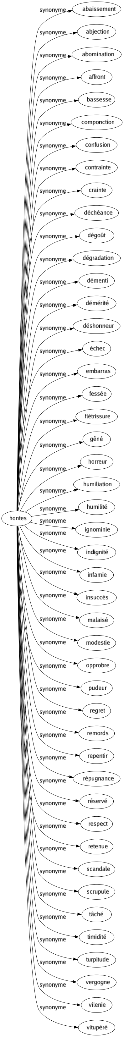 Synonyme de Hontes : Abaissement Abjection Abomination Affront Bassesse Componction Confusion Contrainte Crainte Déchéance Dégoût Dégradation Démenti Démérité Déshonneur Échec Embarras Fessée Flétrissure Gêné Horreur Humiliation Humilité Ignominie Indignité Infamie Insuccès Malaisé Modestie Opprobre Pudeur Regret Remords Repentir Répugnance Réservé Respect Retenue Scandale Scrupule Tâché Timidité Turpitude Vergogne Vilenie Vitupéré 