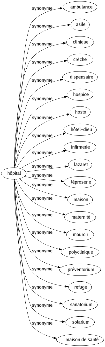 Synonyme de Hôpital : Ambulance Asile Clinique Crèche Dispensaire Hospice Hosto Hôtel-dieu Infirmerie Lazaret Léproserie Maison Maternité Mouroir Polyclinique Préventorium Refuge Sanatorium Solarium Maison de santé 