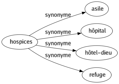 Synonyme de Hospices : Asile Hôpital Hôtel-dieu Refuge 