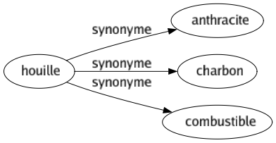 Synonyme de Houille : Anthracite Charbon Combustible 