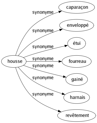 Synonyme de Housse : Caparaçon Enveloppé Étui Fourreau Gainé Harnais Revêtement 