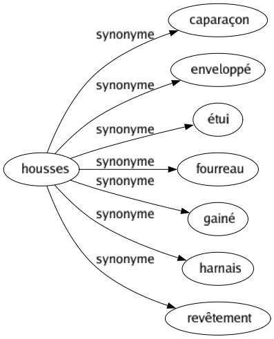 Synonyme de Housses : Caparaçon Enveloppé Étui Fourreau Gainé Harnais Revêtement 