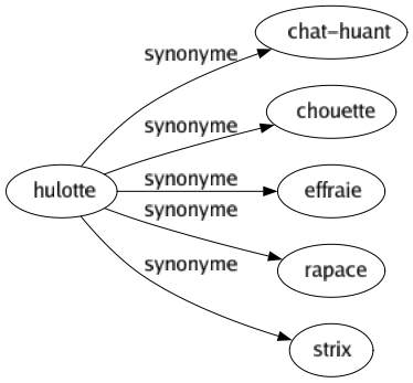 Synonyme de Hulotte : Chat-huant Chouette Effraie Rapace Strix 