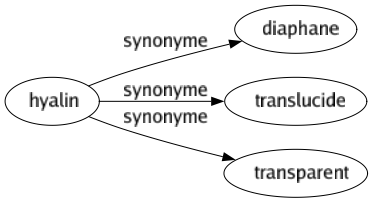 Synonyme de Hyalin : Diaphane Translucide Transparent 