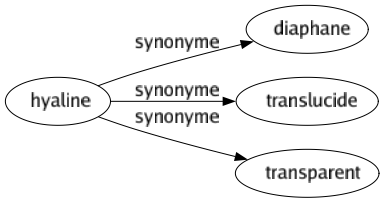 Synonyme de Hyaline : Diaphane Translucide Transparent 