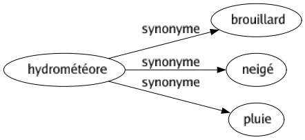 Synonyme de Hydrométéore : Brouillard Neigé Pluie 
