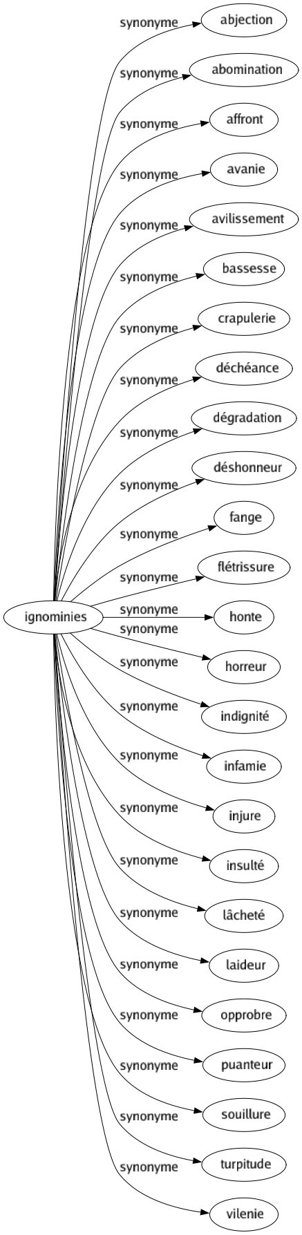 Synonyme de Ignominies : Abjection Abomination Affront Avanie Avilissement Bassesse Crapulerie Déchéance Dégradation Déshonneur Fange Flétrissure Honte Horreur Indignité Infamie Injure Insulté Lâcheté Laideur Opprobre Puanteur Souillure Turpitude Vilenie 