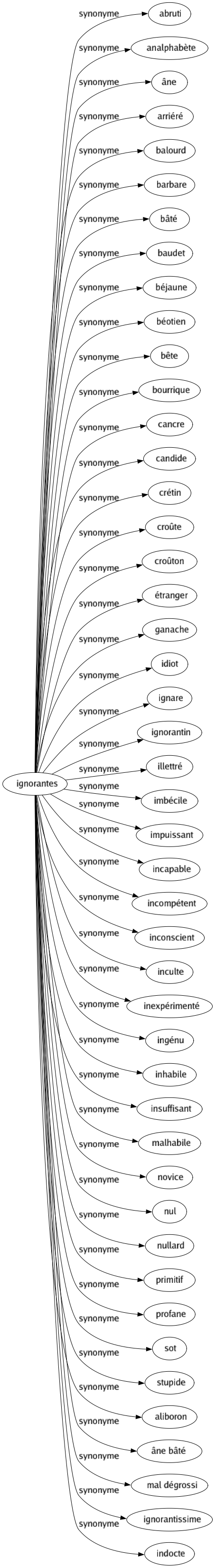 Synonyme de Ignorantes : Abruti Analphabète Âne Arriéré Balourd Barbare Bâté Baudet Béjaune Béotien Bête Bourrique Cancre Candide Crétin Croûte Croûton Étranger Ganache Idiot Ignare Ignorantin Illettré Imbécile Impuissant Incapable Incompétent Inconscient Inculte Inexpérimenté Ingénu Inhabile Insuffisant Malhabile Novice Nul Nullard Primitif Profane Sot Stupide Aliboron Âne bâté Mal dégrossi Ignorantissime Indocte 